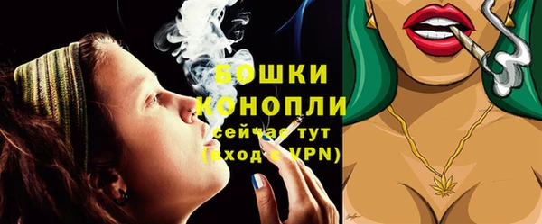 индика Верея