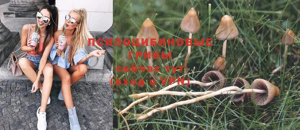 индика Верея