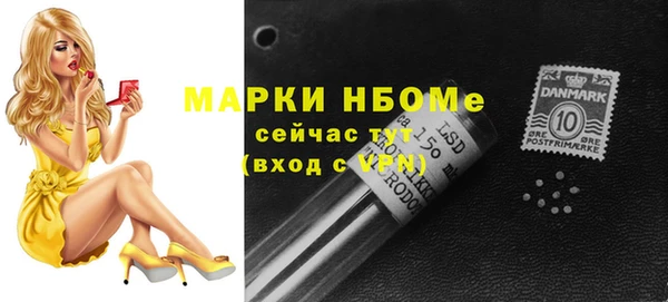 индика Верея
