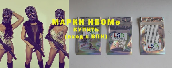 индика Верея