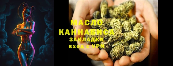 индика Верея