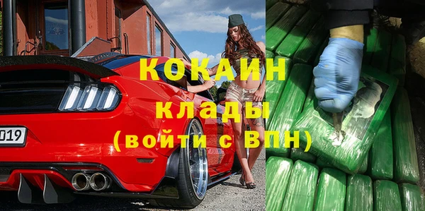 индика Верея