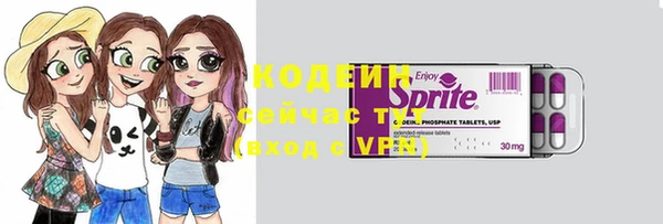 индика Верея