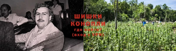 индика Верея