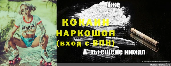 индика Верея