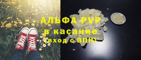 индика Верея